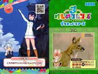 けものフレンズ けもフレ カード R まとめ カードリスト参照 5 サムネイル 6