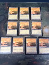 ウルザズ・サーガ 平地/Plains 10枚 日本語版 JP 型番統ー まとめ MTG 人気絵柄 基本土地 大量