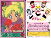 カード セーラームーン R まとめ アマダ 水野 マーキュリー 亜美 他 91 96 100 101 103 104 106 113 114 サムネイル 4
