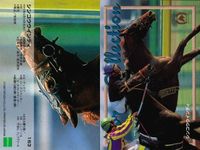 カード 競馬 メジロモネ 
メジロモトレー 
ハギノリアルキング 
メジロライオン 
スーパーナカヤマ 
ウィナーズサークル 
ショウワシンザン 
トウカイテイオー 
ビッグサンデー ジョッキー サムネイル 8
