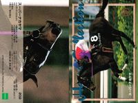 カード 競馬 メジロモネ 
メジロモトレー 
ハギノリアルキング 
メジロライオン 
スーパーナカヤマ 
ウィナーズサークル 
ショウワシンザン 
トウカイテイオー 
ビッグサンデー ジョッキー サムネイル 7
