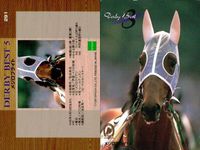 カード 競馬 メジロモネ 
メジロモトレー 
ハギノリアルキング 
メジロライオン 
スーパーナカヤマ 
ウィナーズサークル 
ショウワシンザン 
トウカイテイオー 
ビッグサンデー ジョッキー サムネイル 6