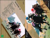 カード 競馬 メジロモネ 
メジロモトレー 
ハギノリアルキング 
メジロライオン 
スーパーナカヤマ 
ウィナーズサークル 
ショウワシンザン 
トウカイテイオー 
ビッグサンデー ジョッキー サムネイル 4
