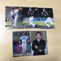 Baseball Card Hiromitsu Ochiai BBM Rare Holo Lot