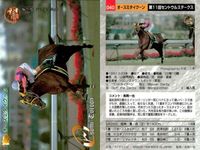 競馬 カード ホースレーシング まとめ アグネスワールド ケイティタイガー オースミタイクーン クロカミ パルブライト バブルガムフェロー アブクマポーロ メジロブライト 第 タイキシャトル サムネイル 4