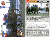 競馬 カード ホースレーシング まとめ アグネスワールド ケイティタイガー オースミタイクーン クロカミ パルブライト バブルガムフェロー アブクマポーロ メジロブライト 第 タイキシャトル サムネイル 6