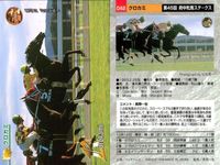 競馬 カード ホースレーシング まとめ アグネスワールド ケイティタイガー オースミタイクーン クロカミ パルブライト バブルガムフェロー アブクマポーロ メジロブライト 第 タイキシャトル サムネイル 5