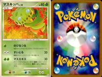 ポケモン カード まとめ 新裏面 9枚 ルンパッパ Lv.52 ハスブレロ Lv.30 ハスボー Lv.11 マスキッパ マスキッパ Lv.38 マスキッパ Lv.38 キノガッサ Lv.40 キノガッサ Lv.40 キノココ Lv.10 サムネイル 5