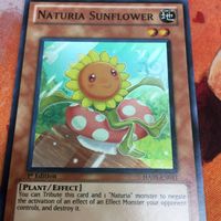 IT220825-2325 ナチュル・サンフラワー スーパーレア 英語版 米1st 遊戯王 HA03-EN011 サムネイル 3