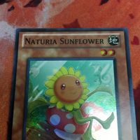 IT220825-2325 ナチュル・サンフラワー スーパーレア 英語版 米1st 遊戯王 HA03-EN011 サムネイル 2