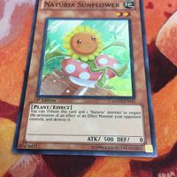 IT220825-2325 ナチュル・サンフラワー スーパーレア 英語版 米1st 遊戯王 HA03-EN011 サムネイル 4