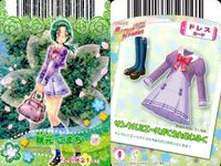 プリキュア カード まとめ 花咲つぼみ 39/46 来海えりか 40/46 美墨なぎさ 41/46 雪城ほのか 42/46 桃園ラブ 蒼乃美希 43/46 キュアブロッサム 07/47 キュアピーチ 09/47 データカードダス サムネイル 6