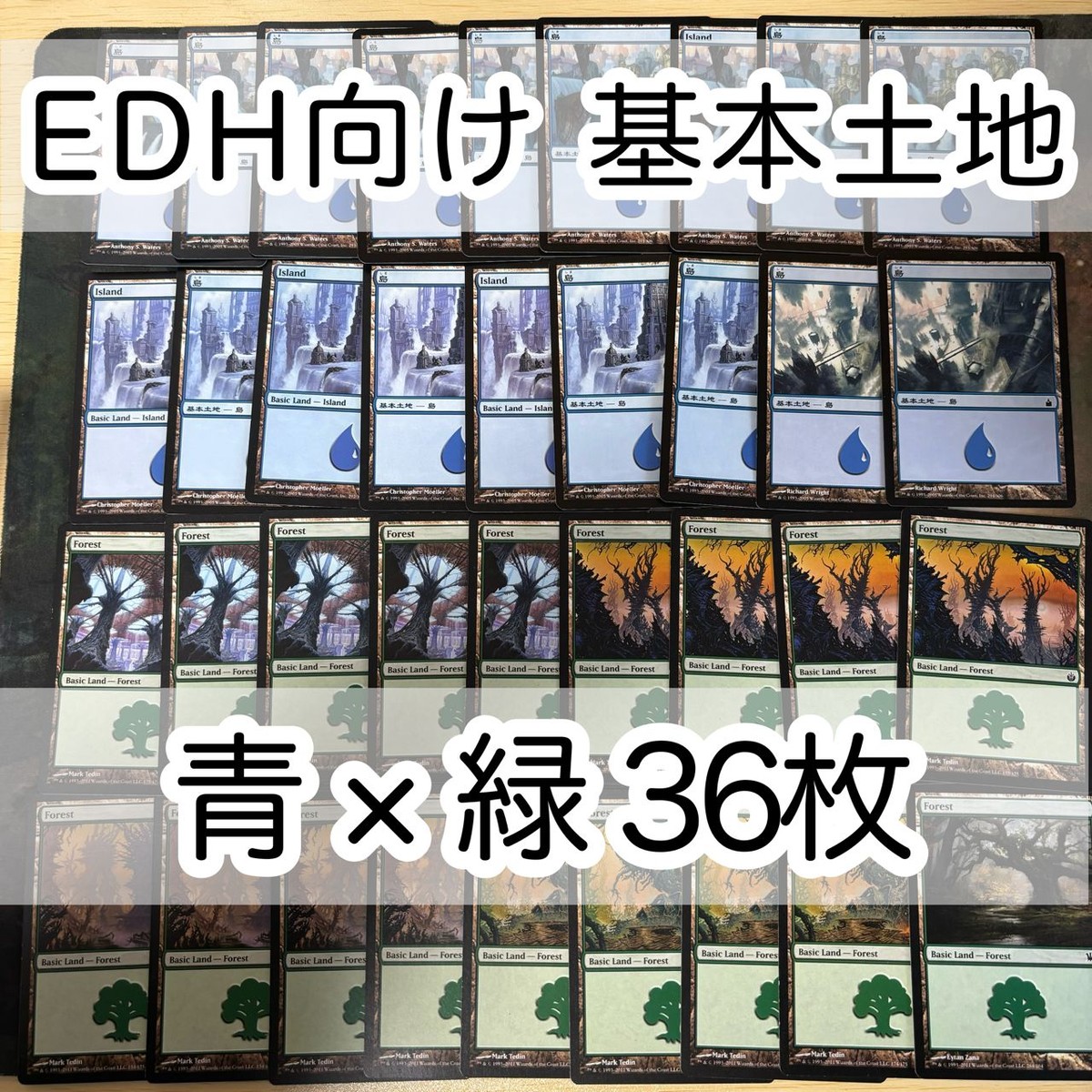 MTG Magic Gathering Lands Island Forest 36 Commander EDH