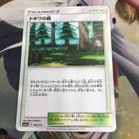 ポケモンカード 新裏面 1枚 トキワの森 トレーナーカード 27