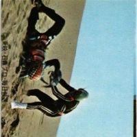 mj-15【状態C-D】418 279 203 146 仮面ライダー 旧カルビー カード まとめ サムネイル 4