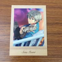 トレカ カード まとめ あんさんぶるスターズ あんスタ ぱしゃこれ 瀬名 泉 23 サムネイル 9