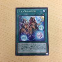 遊戯王 ウルトラレア カード トレーディングカード アマゾネスの秘術 まとめ サムネイル 5
