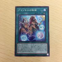 遊戯王 ウルトラレア カード トレーディングカード アマゾネスの秘術 まとめ サムネイル 4