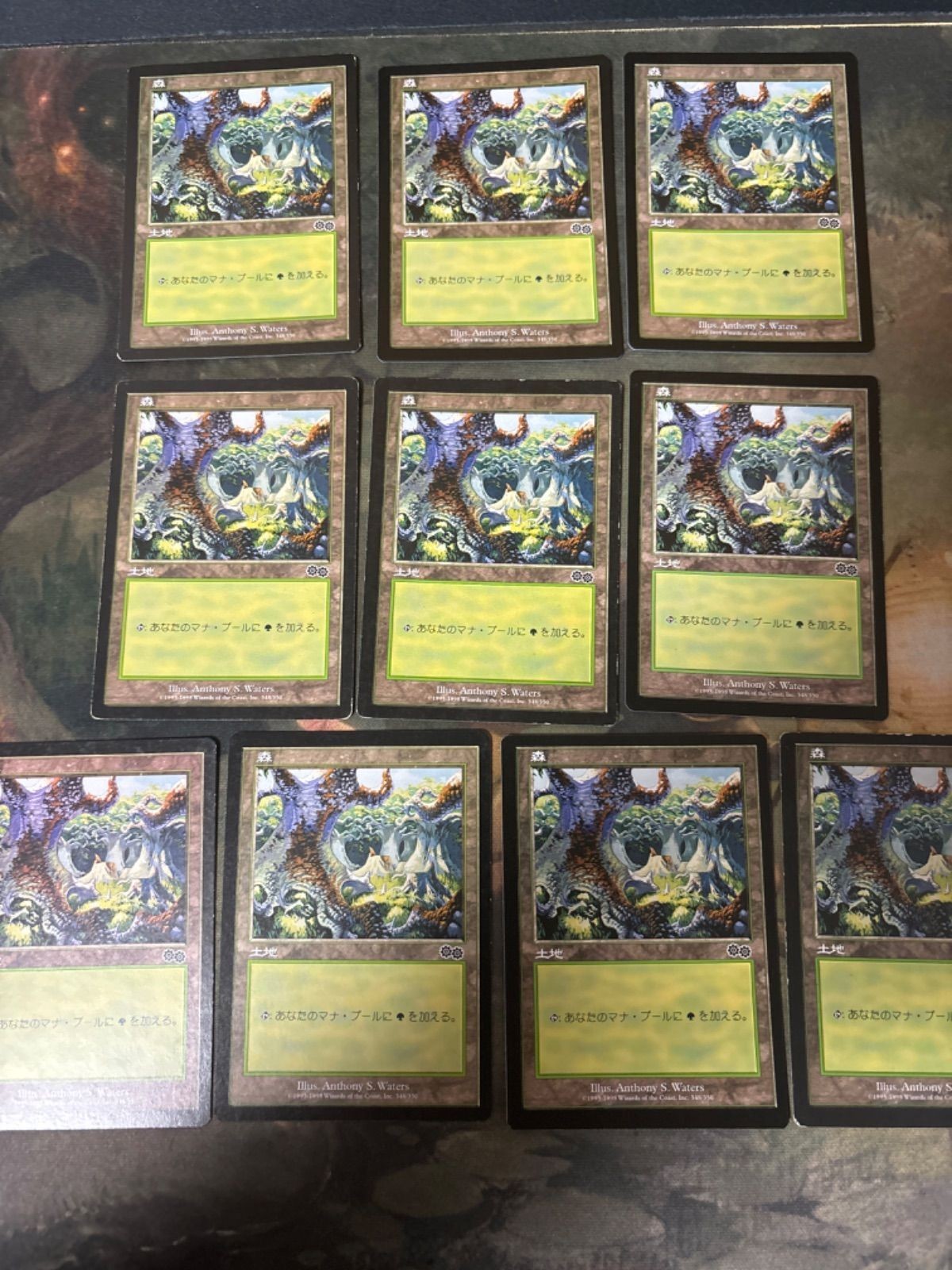 ウルザズ・サーガ 森/Forest 10枚 日本語版 JP 型番統ー まとめ MTG 人気絵柄 基本土地 大量 USG
