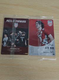 JAPAN NATIONAL VOLLEYBALL TEAM ツインウエハースカード ・集合A(SP スペシャルカード) 男子バレーボール ウエハース レア :9 大宅 真樹 サムネイル 2