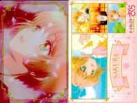 Cardcaptor Sakura Clear Card Wafers Lot CLAMP サムネイル 2