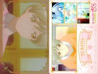 Cardcaptor Sakura Clear Card Wafers Lot CLAMP サムネイル 4