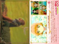 Cardcaptor Sakura Clear Card Wafers Lot CLAMP サムネイル 6