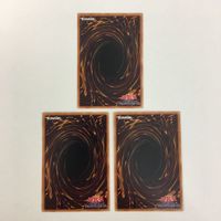遊戯王 ゴヨウ・ガーディアン ブラックローズドラゴン スターダストドラゴン TGハイパー・ライブラリアン 表面加工 カード まとめ サムネイル 9