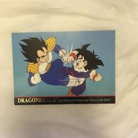 カード トレカ まとめ ドラゴンボール 海外版 ベジータ ヤムチャ 孫 悟飯 17 サムネイル 9