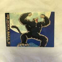 カード トレカ まとめ ドラゴンボール 海外版 ベジータ ヤムチャ 孫 悟飯 17 サムネイル 5