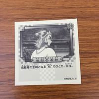 カード トレカ まとめ 鬼滅の刃 竈門 禰豆子 胡蝶 しのぶ 我妻 善逸 嘴平 伊之助 炭治郎 煉獄 杏寿郎 4 サムネイル 10