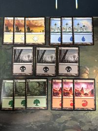 希少 簡体字版 神河物語 平地/Plains 島/Island 沼/Swamp 山/Mountain 森/Forest 15枚 セット 型番統ー まとめ MTG 人気絵柄 基本土地 多言語 中国語 CHK