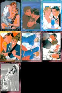 カード 新田祐克 コレクション まとめ 春を抱いていた 同人 BL ボーイズラブ SP スペシャル 含む マルチメディア サムネイル 1