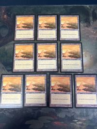 ウルザズ・サーガ 平地/Plains 10枚 英語版 EN 型番統ー まとめ MTG 人気絵柄 基本土地 大量