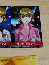 ガンダムSEED DESTINY ザ コンプリートカーﾄﾞ ギル CH-94 CH-70 ギルバートデュランダル TV-25 ダリア グラディス CH-17 CH-72 CH-95 サムネイル 8