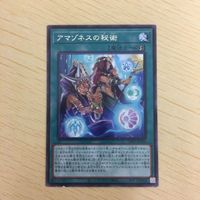 遊戯王 字レア カード トレーディングカード アマゾネスの秘術 まとめ サムネイル 5