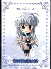 カード シルバーカオス SILVER CHAOS 非売品 テレビゲーム ゲーム サムネイル 1