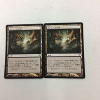 マザジックギャザリング カード ポジューカの沼 52 サムネイル 1