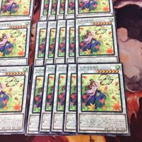 いろはもみじ 40枚 型番統一 ノーマル 遊戯王 まとめ BACH-JP042 サムネイル 5