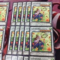 いろはもみじ 40枚 型番統一 ノーマル 遊戯王 まとめ BACH-JP042 サムネイル 3