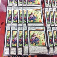 いろはもみじ 40枚 型番統一 ノーマル 遊戯王 まとめ BACH-JP042 サムネイル 4
