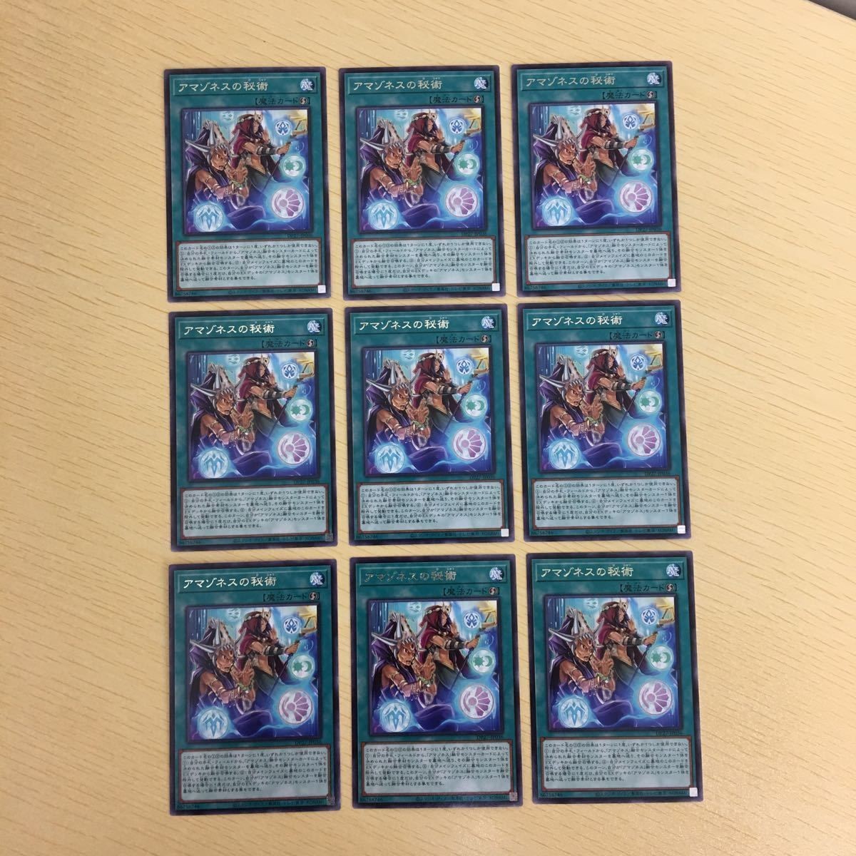 Yu-Gi-Oh Amazoness Secret Art Card Lot Japanese