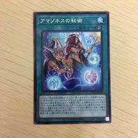 Yu-Gi-Oh Amazoness Secret Art Card Lot Japanese サムネイル 4