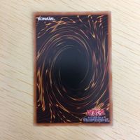 Yu-Gi-Oh Amazoness Secret Art Card Lot Japanese サムネイル 8