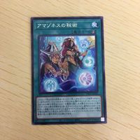 Yu-Gi-Oh Amazoness Secret Art Card Lot Japanese サムネイル 5