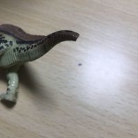 送料無料 立体パズル 恐竜 動物 ダイナソー 3d ペンギン しろくま シロクマ 熊 くま クマ まとめ t2-1 0520 サムネイル 10