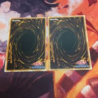 マタンゴ 皆既日蝕の書 ノーマル まとめ 遊戯王 クシャトリラ 対策 初期 TDGS-JP062 サムネイル 4