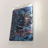 ウエハース カード 未開封 モンスターストライク モンスターハンター モンスト 雷狼竜 勇壮なる提督 倭男具邪命 裏切りの サムネイル 4