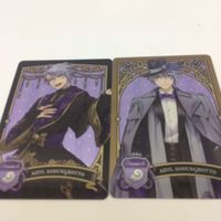 ツイステッドワンダーランド カード ディズニー まとめ イグニンハイド17 オクタヴィネル16 オクタヴィネル12 サバナ サムネイル 3