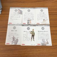 仮面ライダー カード まとめ 45 サムネイル 8